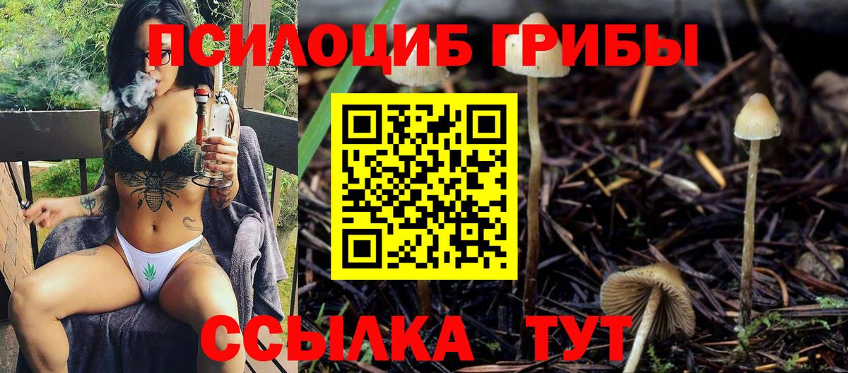 Галлюциногенные грибы ЛСД Псков