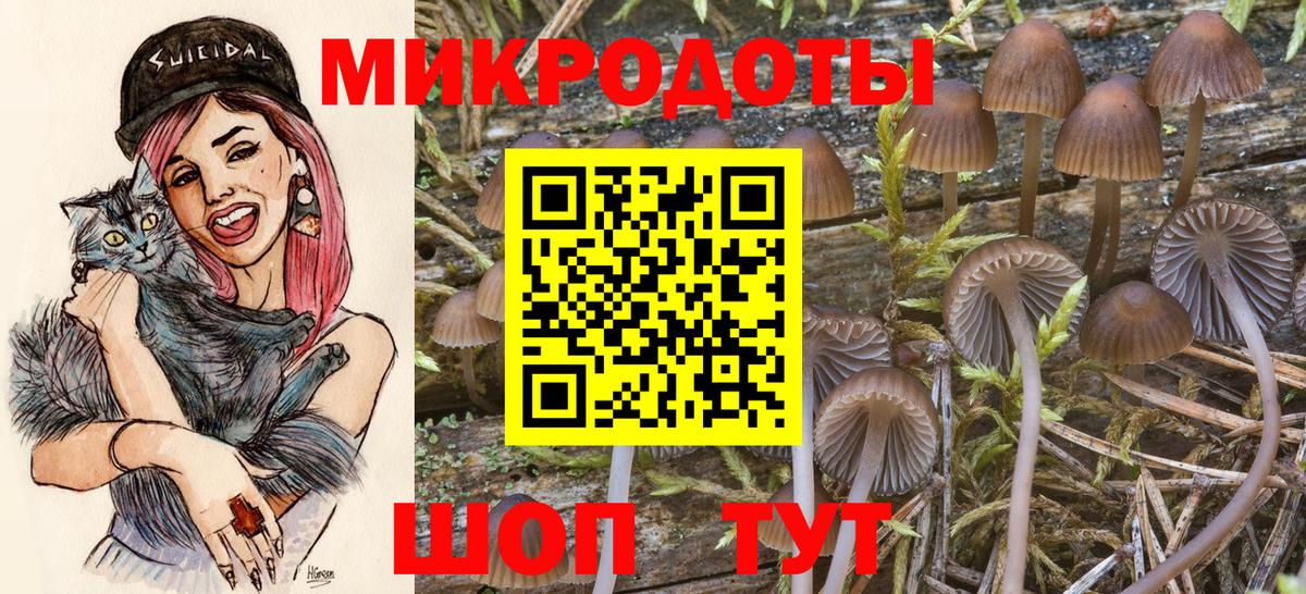Псков  Псилоцибиновые грибы GOLDEN TEACHER  где купить наркоту  Вход с VPN  Галлюциногенные грибы Psilocybine cubensis 