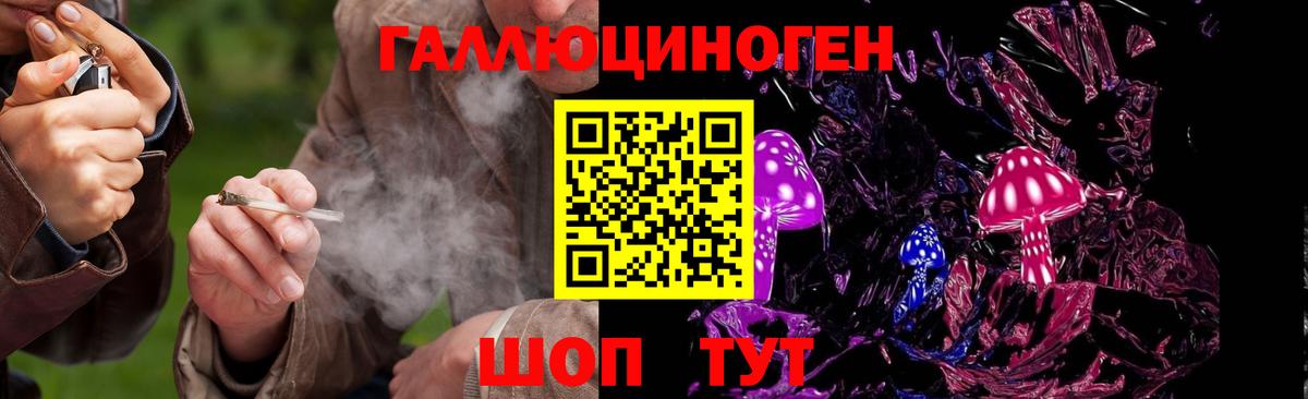 ГАШ Псков